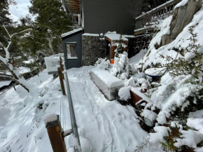 Value 1-Bedroom Apartment, Thredbo Village